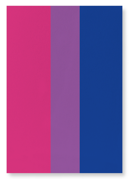 BISEXUAL PRIDE FLAG: Colourblock Art Print