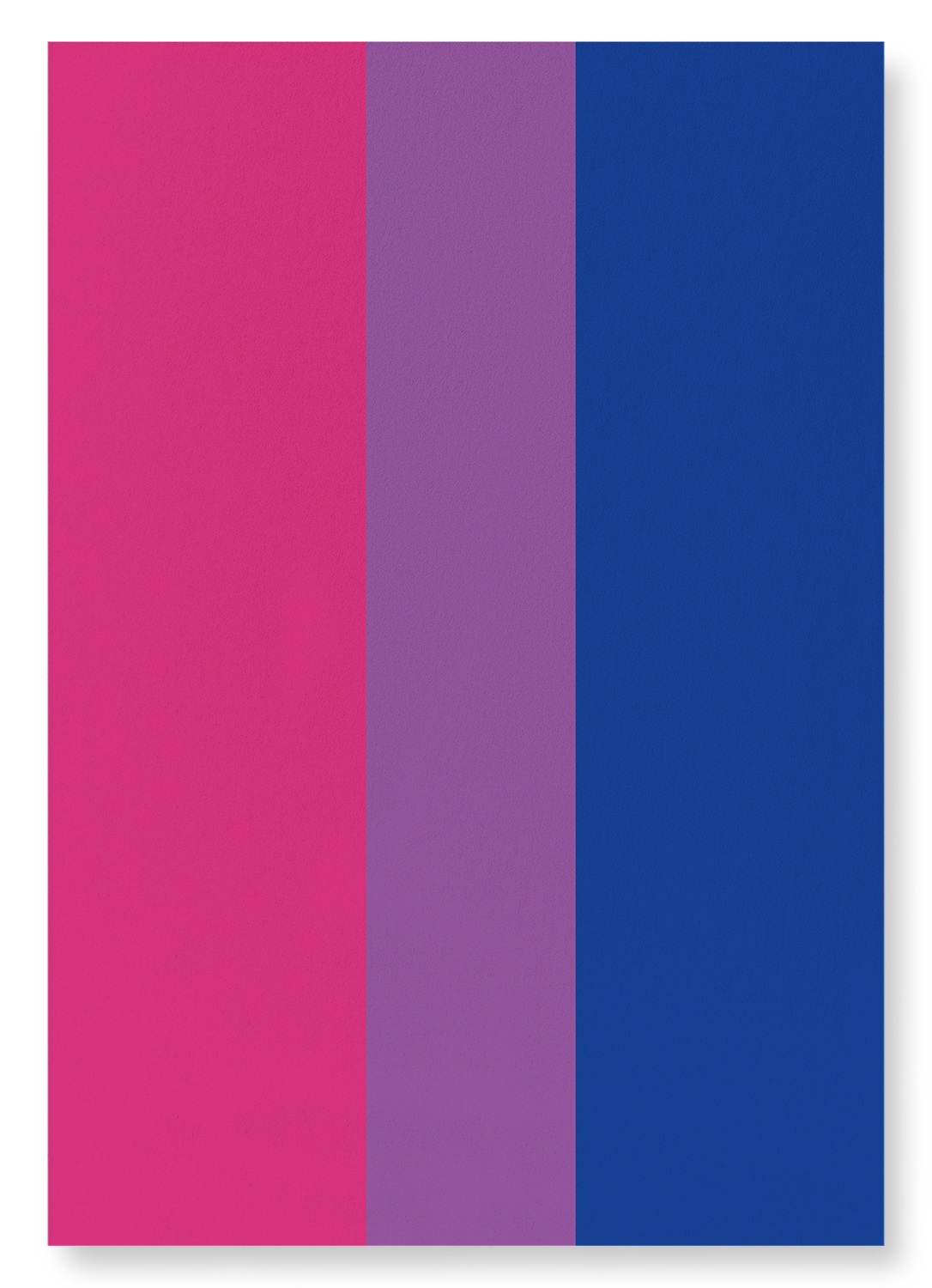 BISEXUAL PRIDE FLAG: Colourblock Art Print