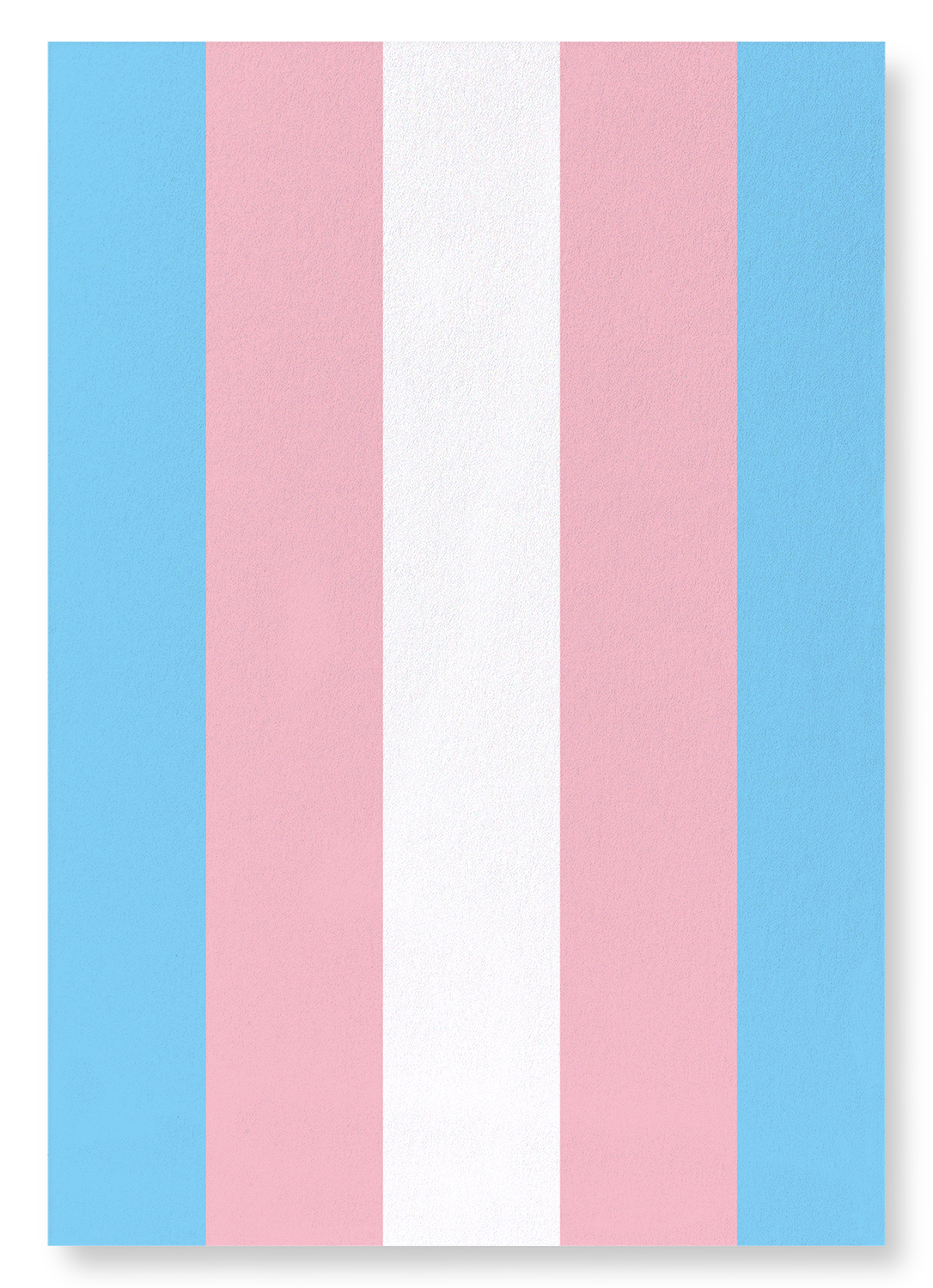 TRANSGENDER PRIDE FLAG: Colourblock Art Print