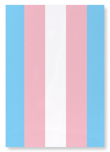 TRANSGENDER PRIDE FLAG: Colourblock Art Print
