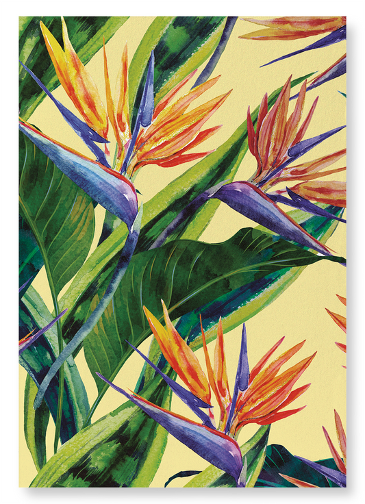 BIRDS OF PARADISE: Painting Art Print
