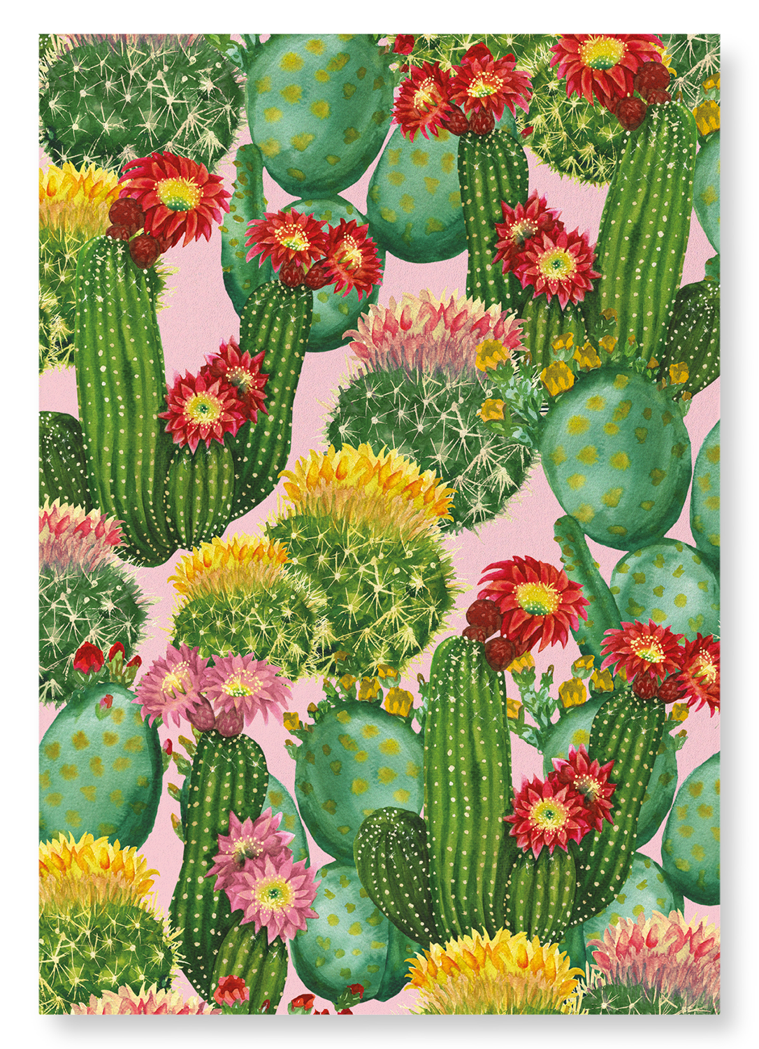 COLOURFUL CACTI: Painting Art Print