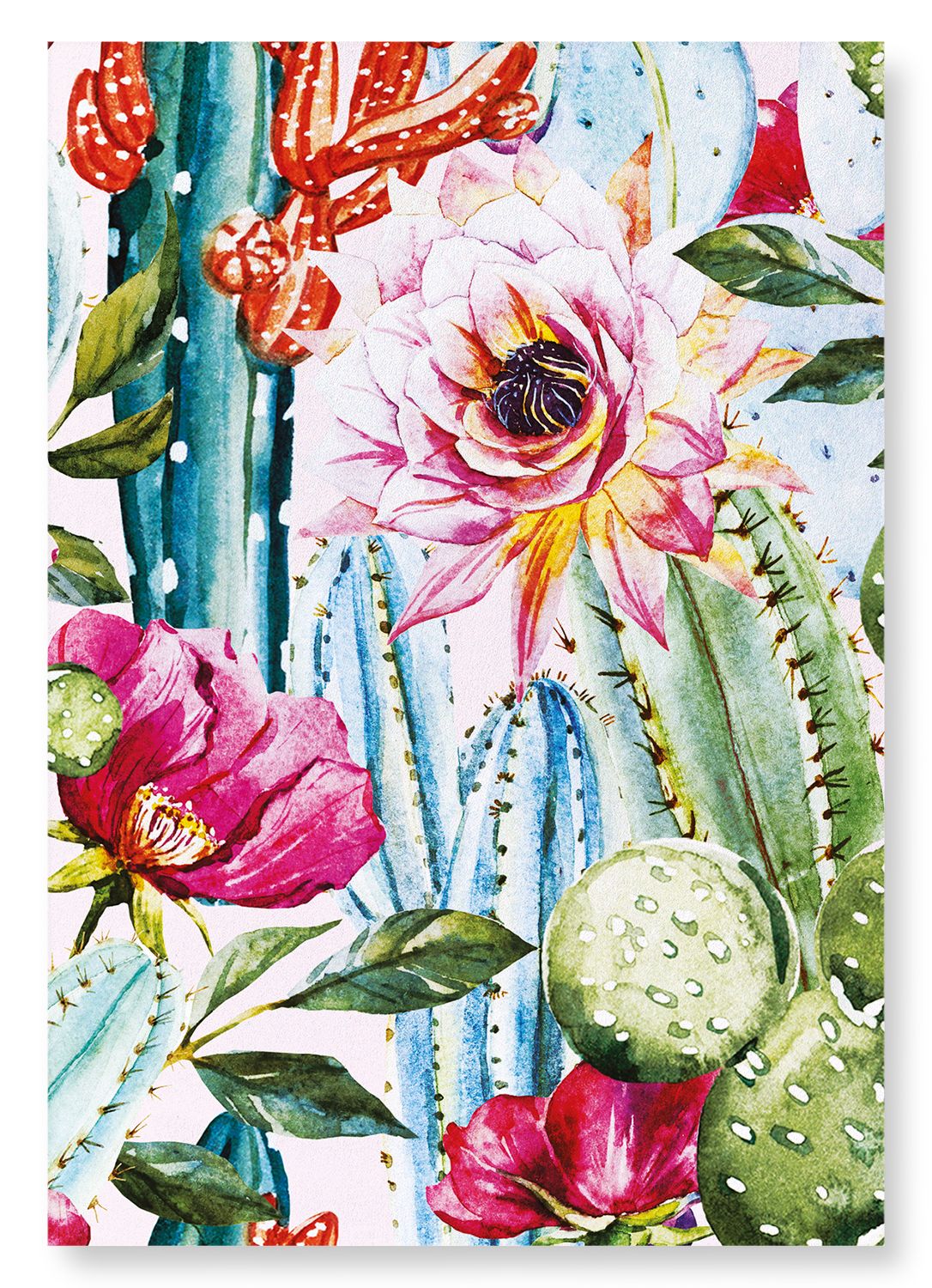 CACTI FLOWERS: Painting Art Print