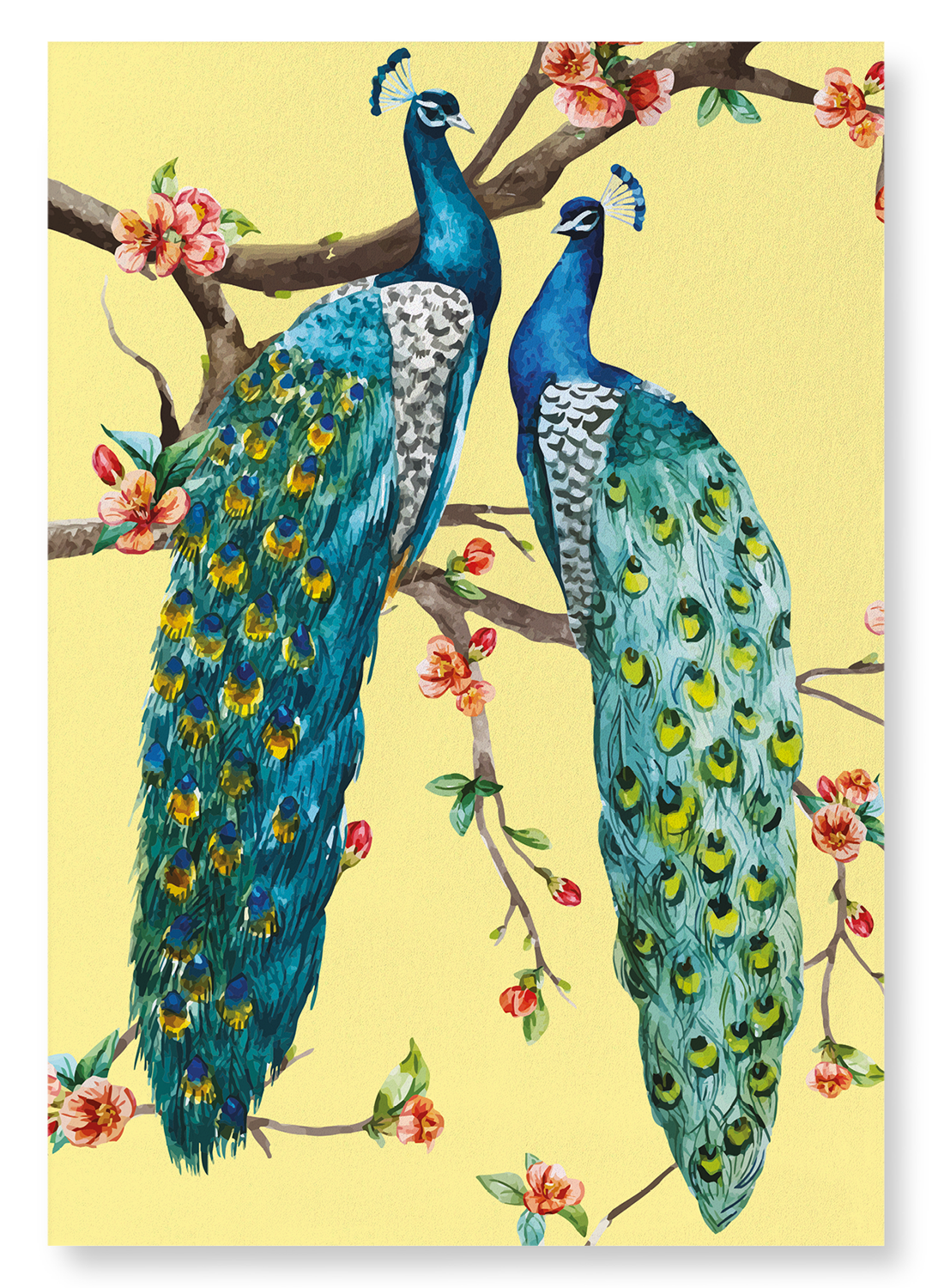 COUPLE OF PEACOCKS: Painting Art Print