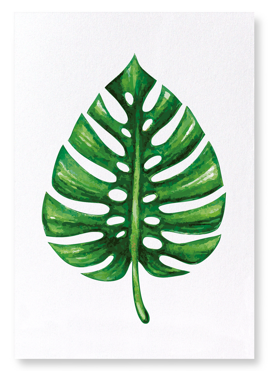 MONSTERA DELICIOSA: Watercolour Art Print