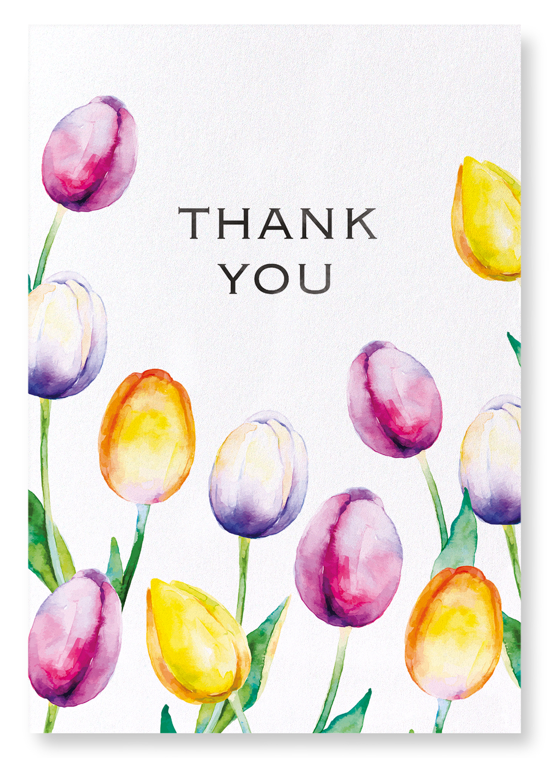 TULIP OF THANKS: Watercolour Art Print