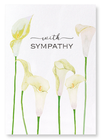 CALLA LILY OF SYMPATHY: Watercolour Art Print