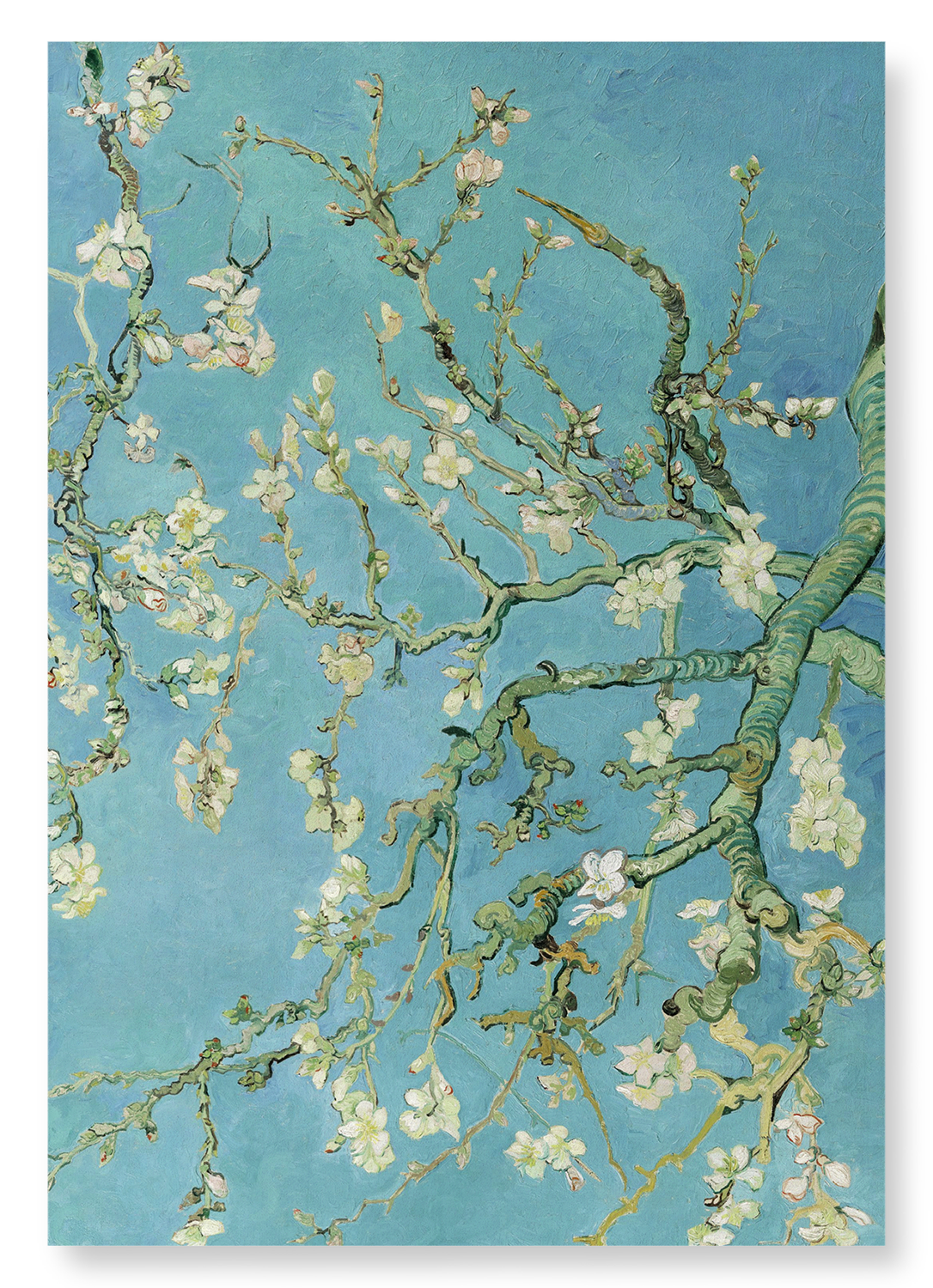 BLOSSOMING ALMOND TREE BY VAN GOGH: Painting Art Print