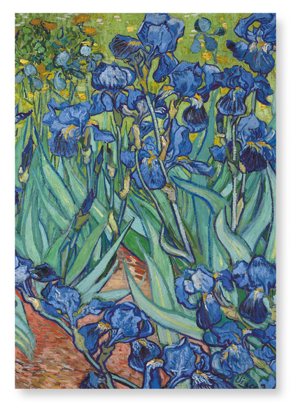 IRISES BY VAN GOGH: Painting Art Print