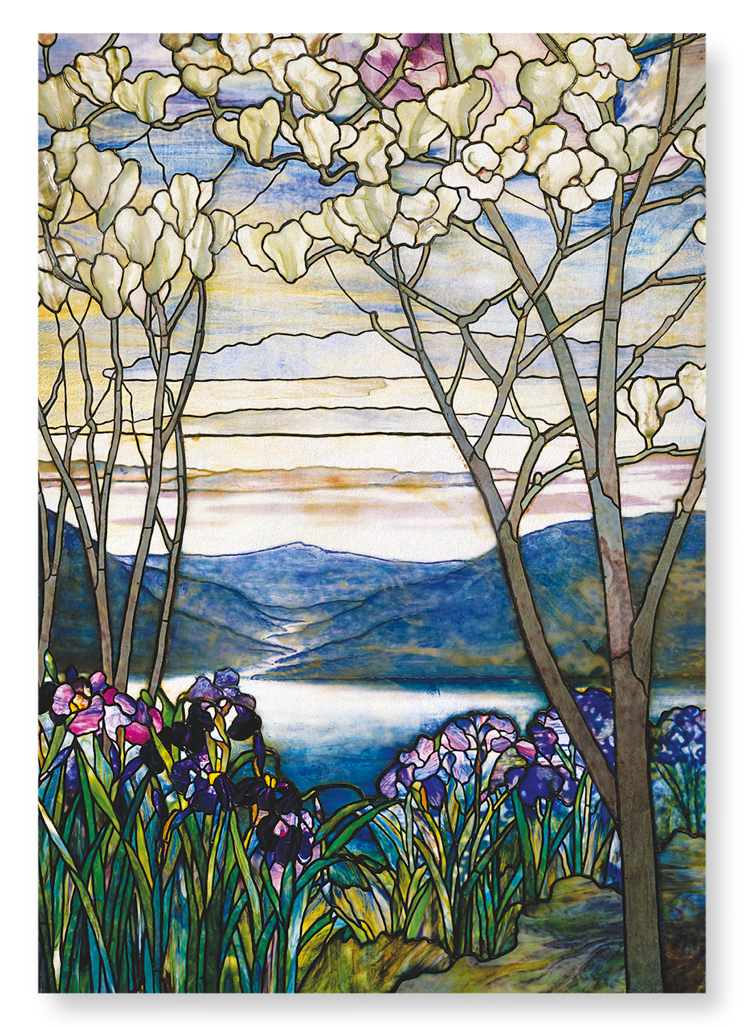 MAGNOLIAS AND IRISES: Painting Art Print