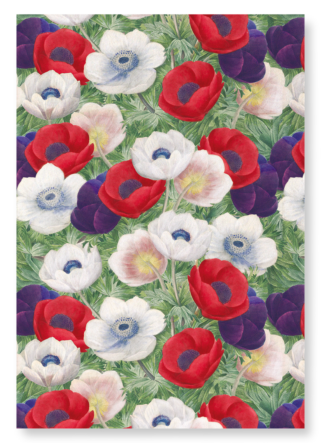 ANEMONE: Painting Art Print