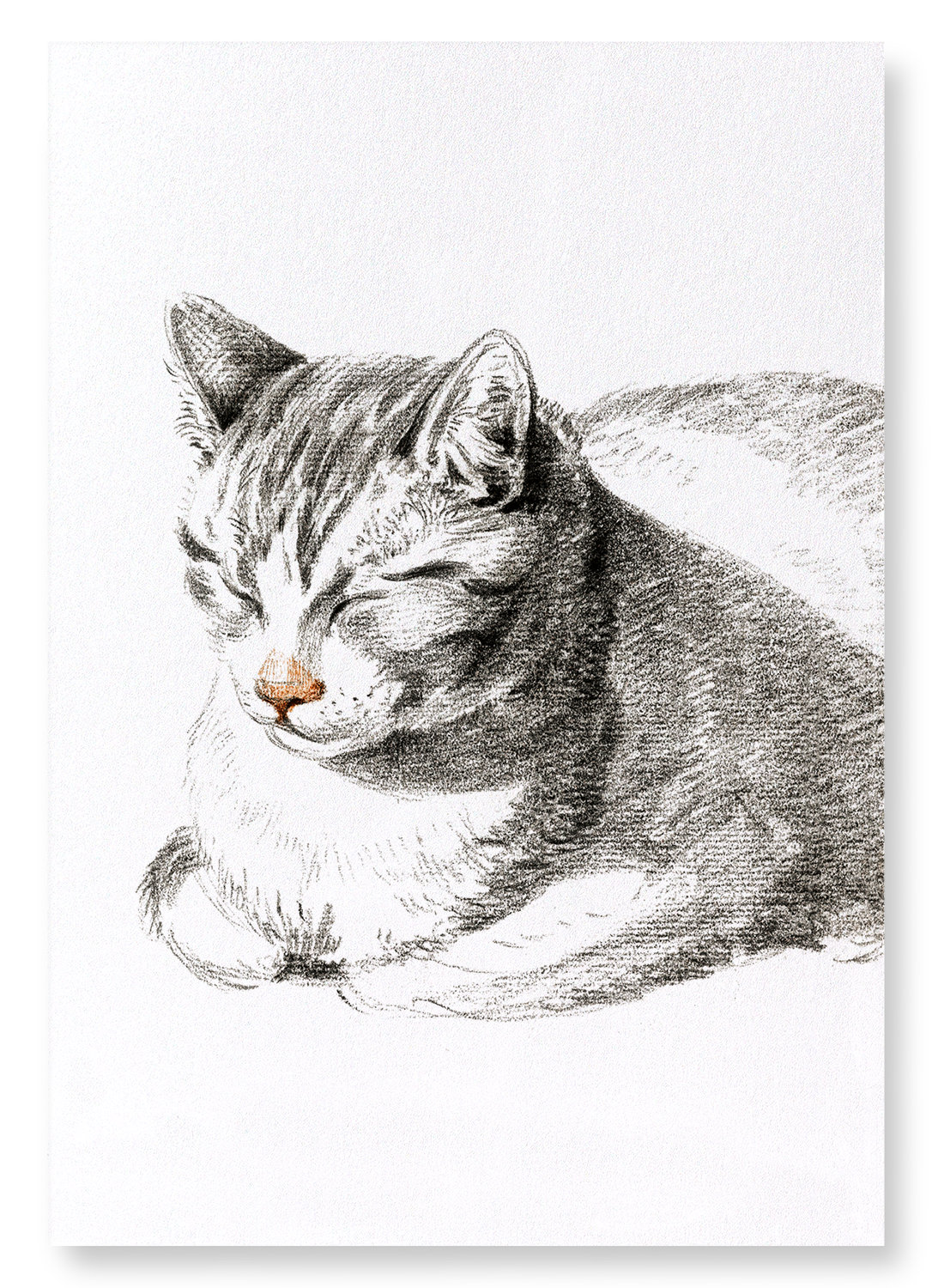 LYING CAT DIAGONALLY (1808): Painting Art Print