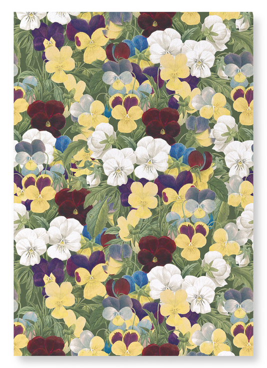 PANSIES: Pattern Art Print