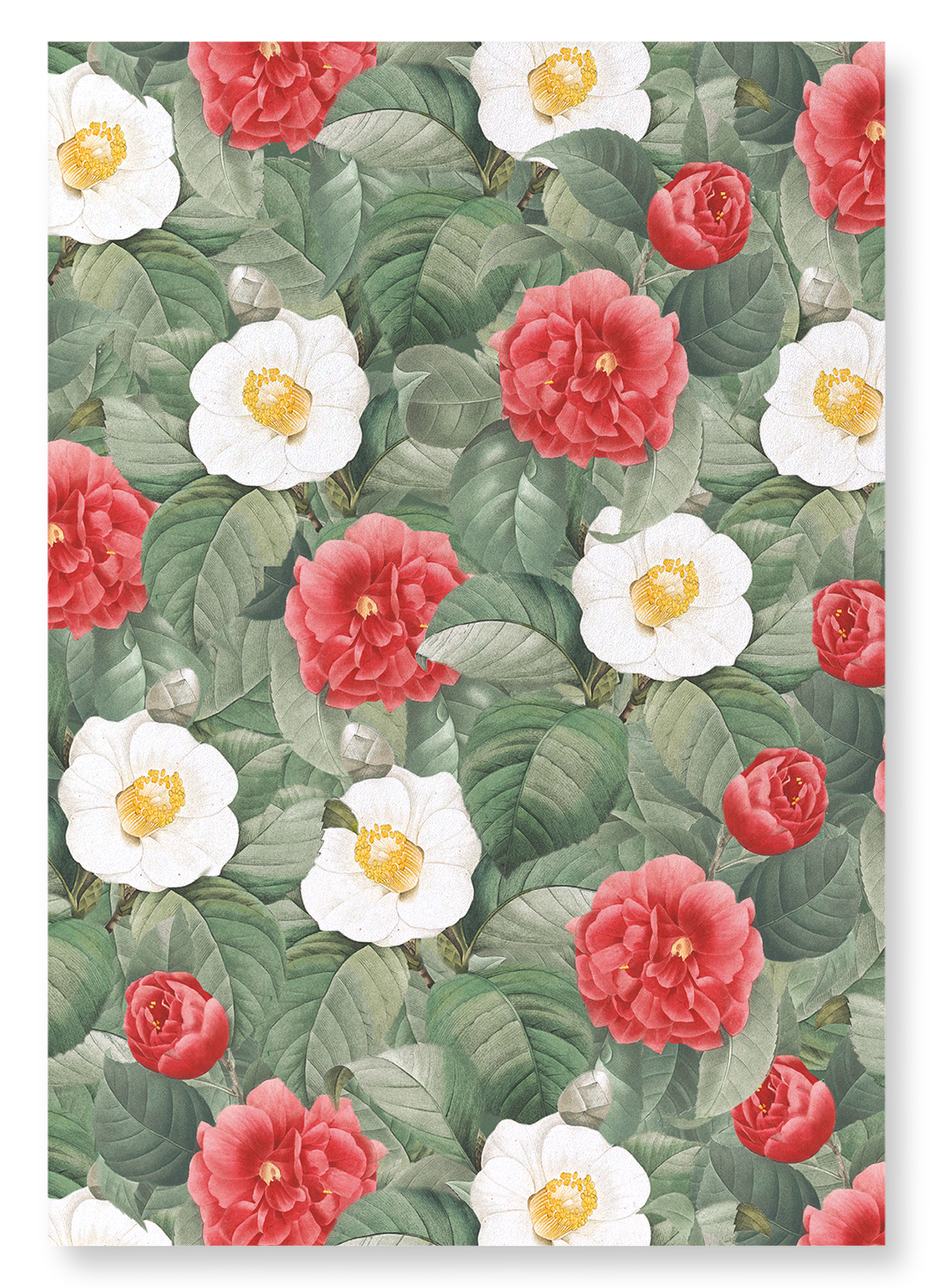 CAMELLIA JAPONICA: Pattern Art Print
