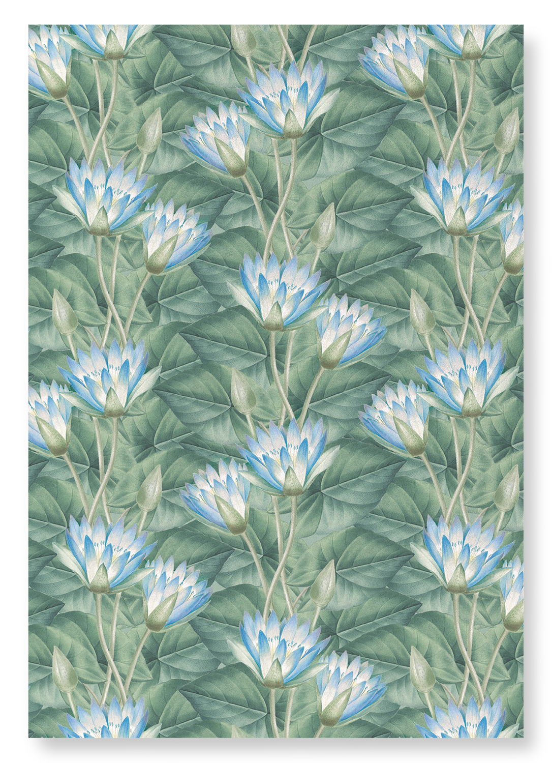 NYMPHAEA COERULEA: Pattern Art Print