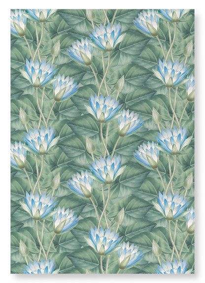 NYMPHAEA COERULEA: Pattern Art Print