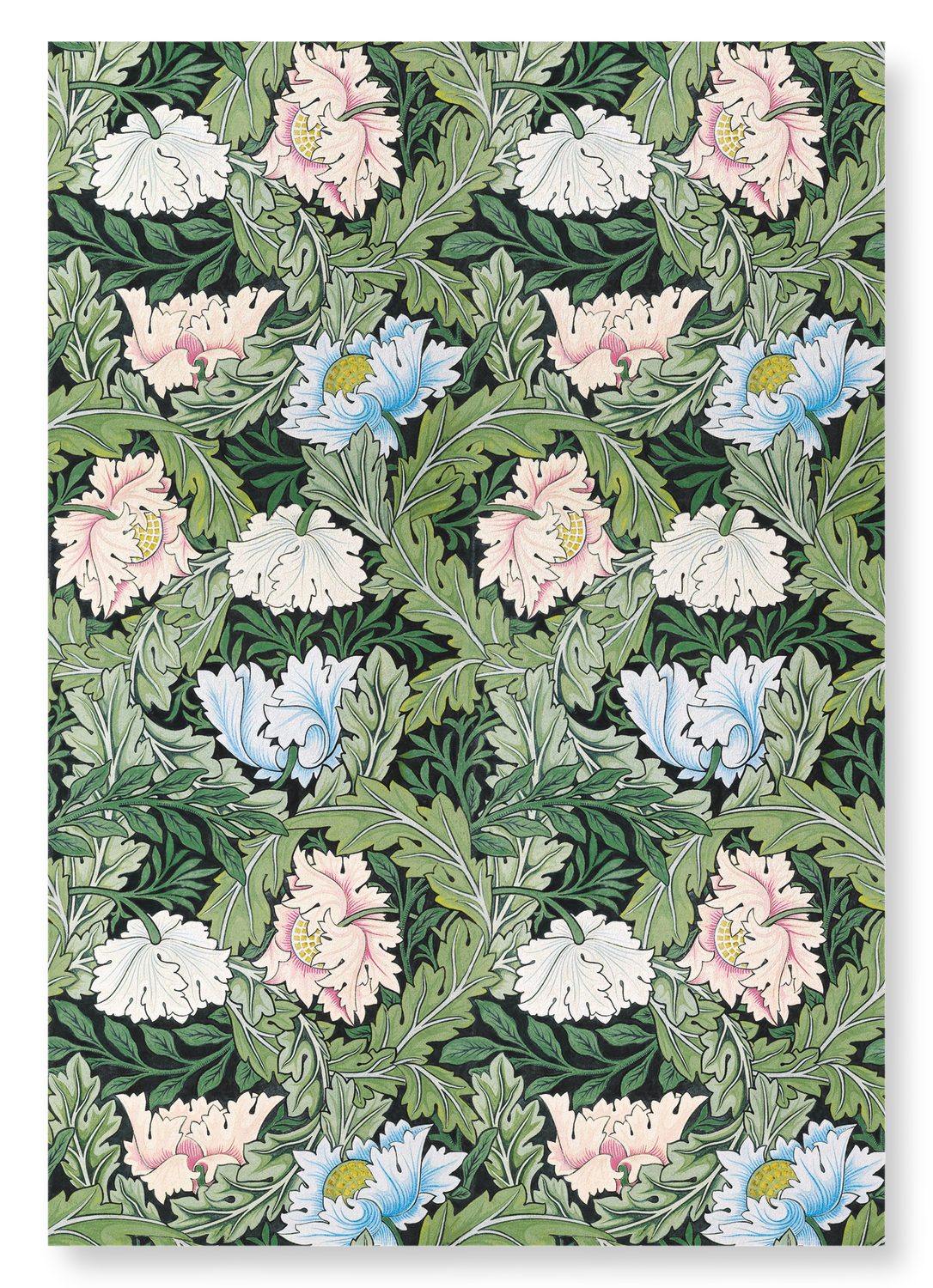 POPPIES AND ACANTHUS FLOWERS (1860): Pattern Art Print