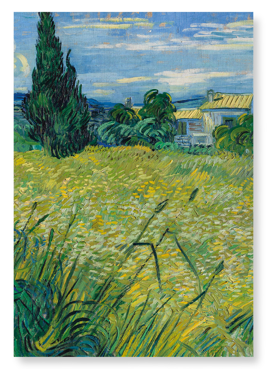 GREEN WHEAT (1889): Painting Art Print