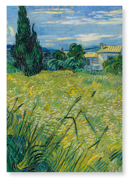 GREEN WHEAT (1889): Painting Art Print
