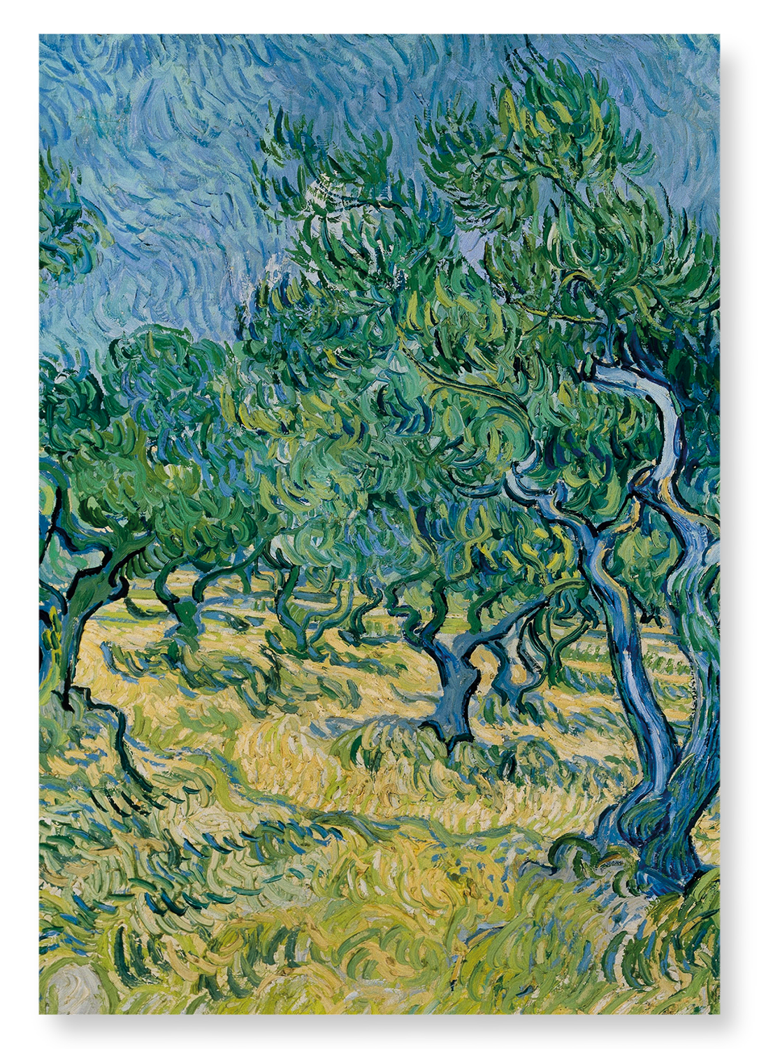 OLIVE GROVE (1889): Painting Art Print