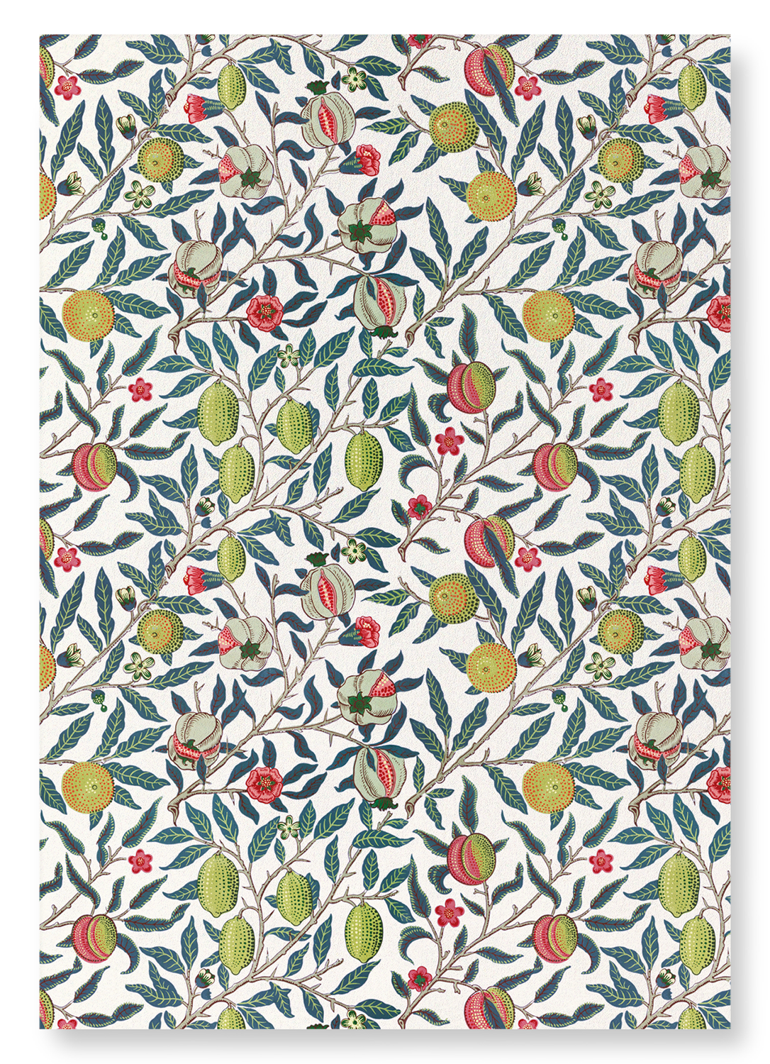 POMEGRANATE FRUIT (C.1866) : Pattern Art Print