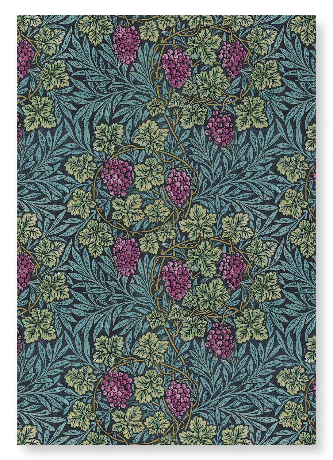 VINE (1874): Pattern Art Print