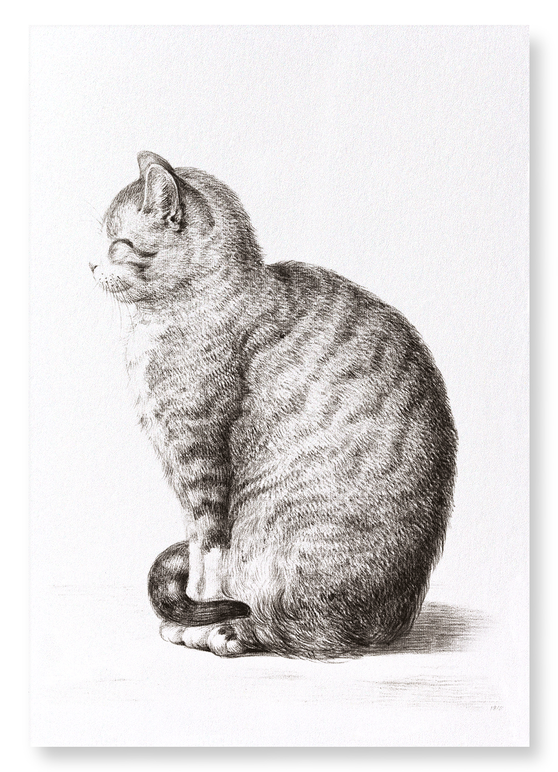 SITTING CAT (1815): Painting Art Print
