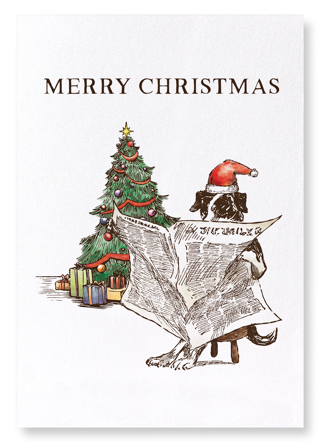 READING CHRISTMAS CHRONICLE: Victorian Art Print
