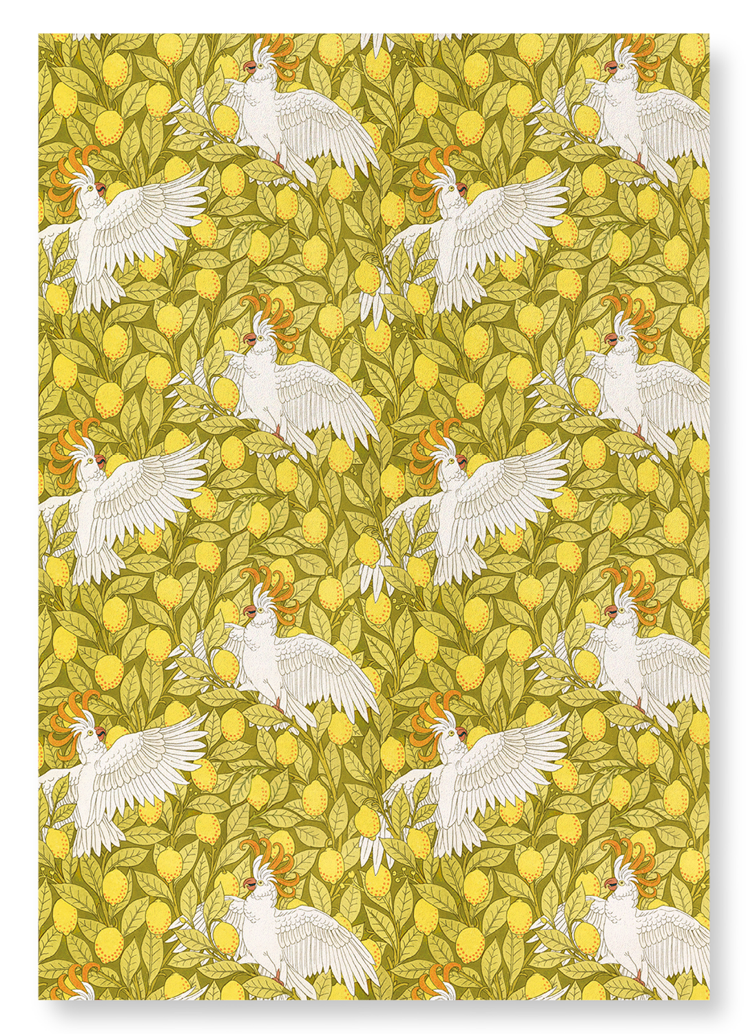 COCKATOO AND LEMONS (1897) : Pattern Art Print