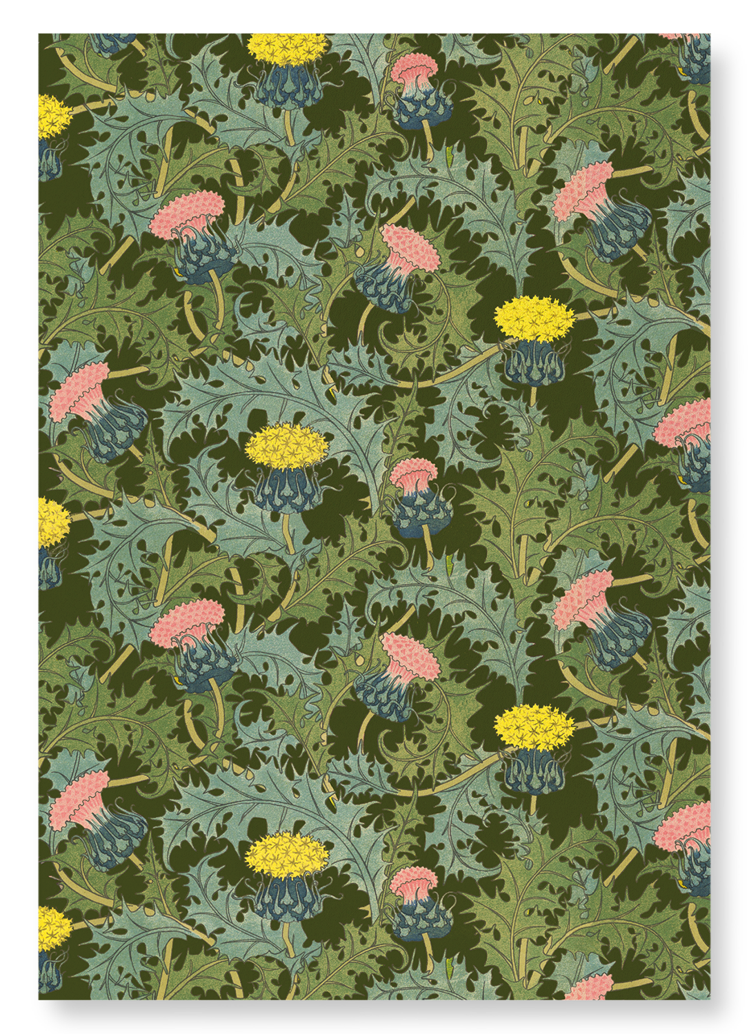 THISTLE (1897) : Pattern Art Print