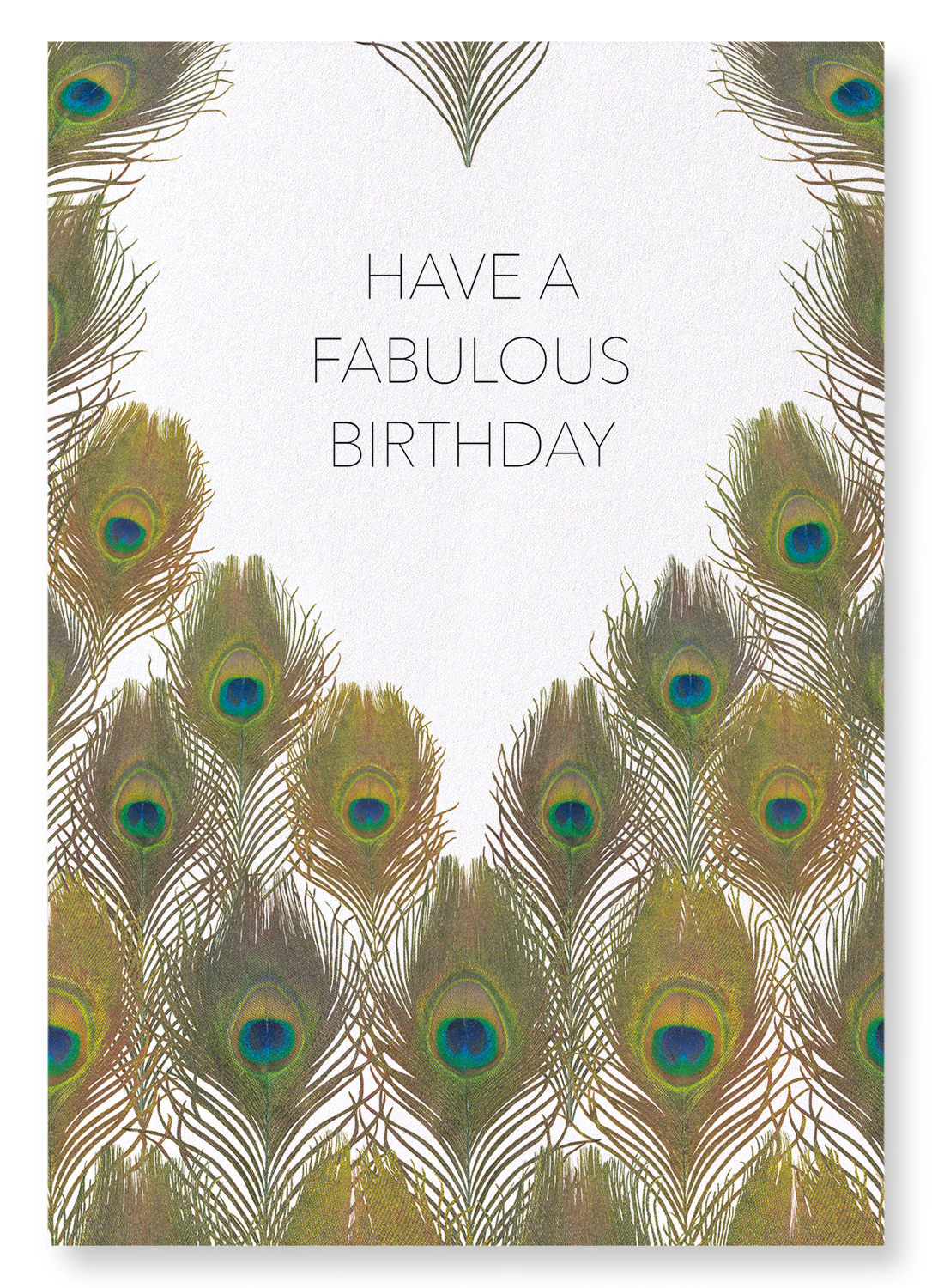 FABULOUS PEACOCK BIRTHDAY: Painting Art Print