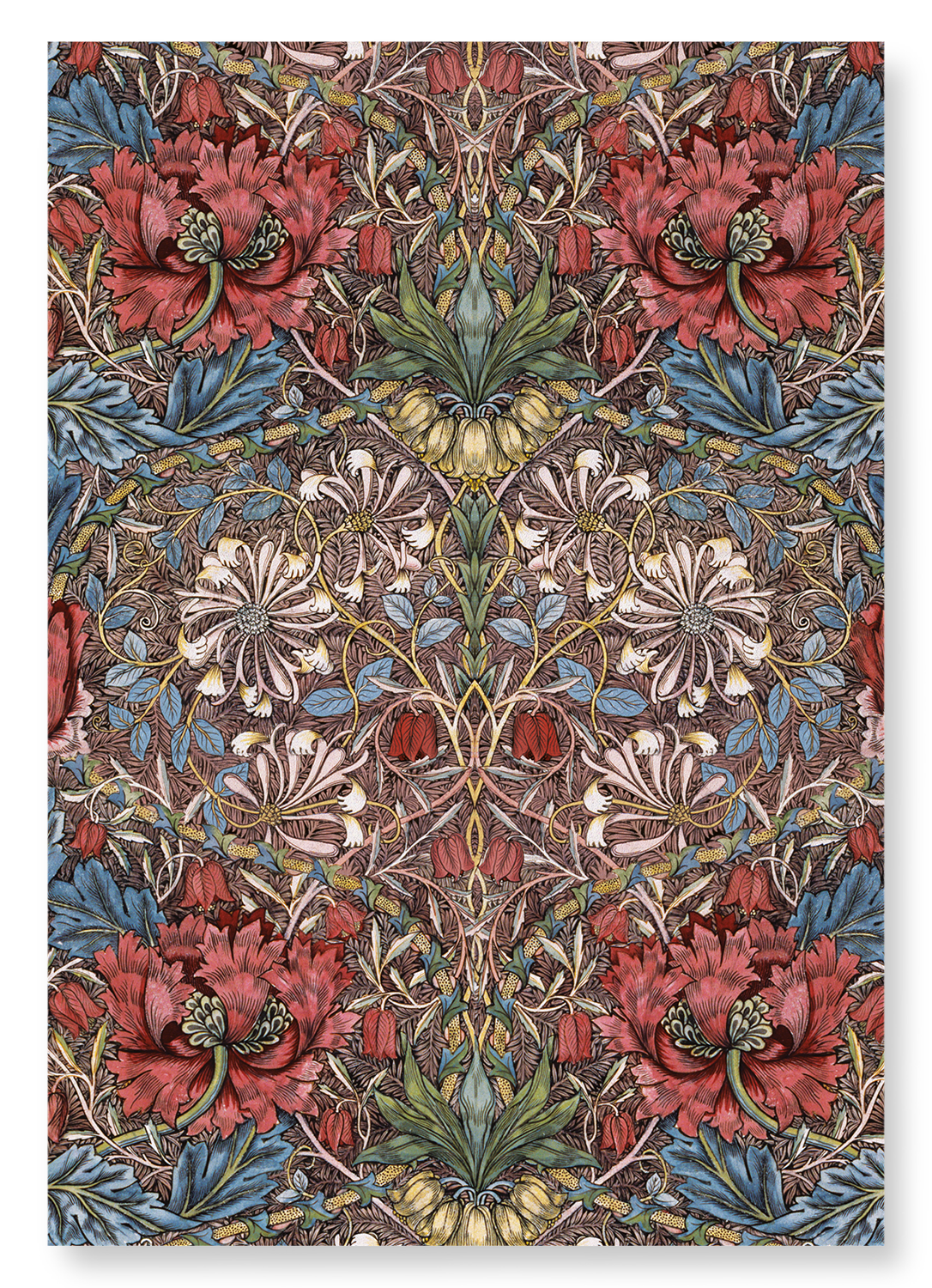 HONEYSUCKLE (1874): Pattern Art Print