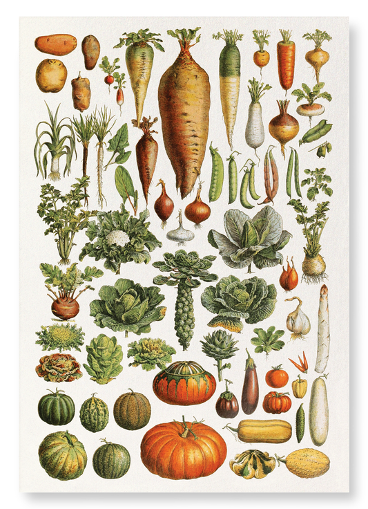 GARDEN VEGETABLES (1922): Painting Art Print