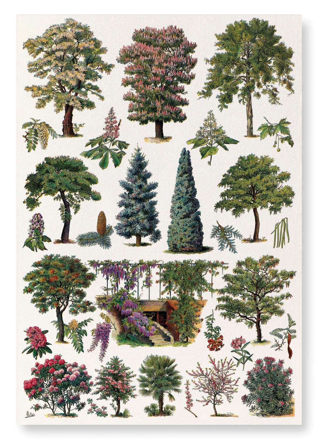 ORNAMENTAL TREES - B (1932): Painting Art Print