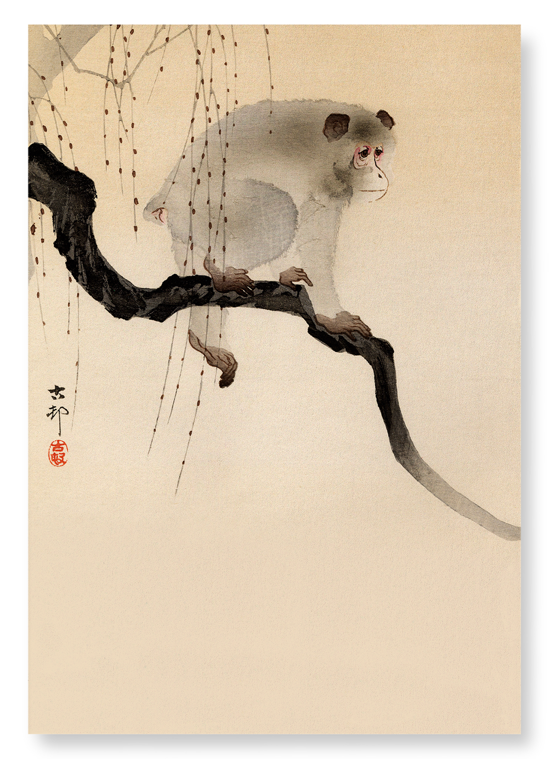 MONKEY IN A TREE: Japanese Art Print