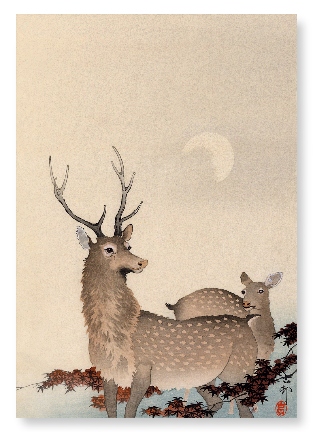 TWO DEER AND MAPLE: Japanese Art Print