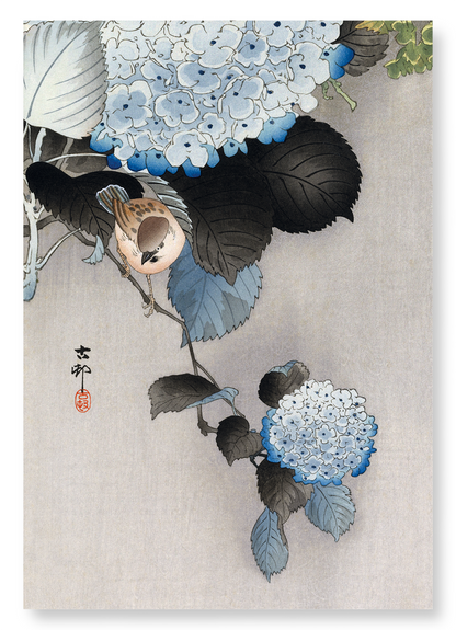 SPARROW AND HORTENSIA: Japanese Art Print