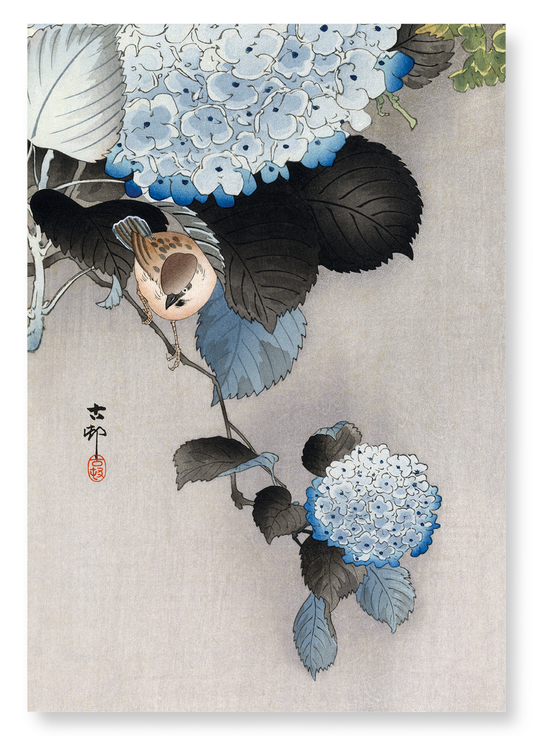 SPARROW AND HORTENSIA: Japanese Art Print