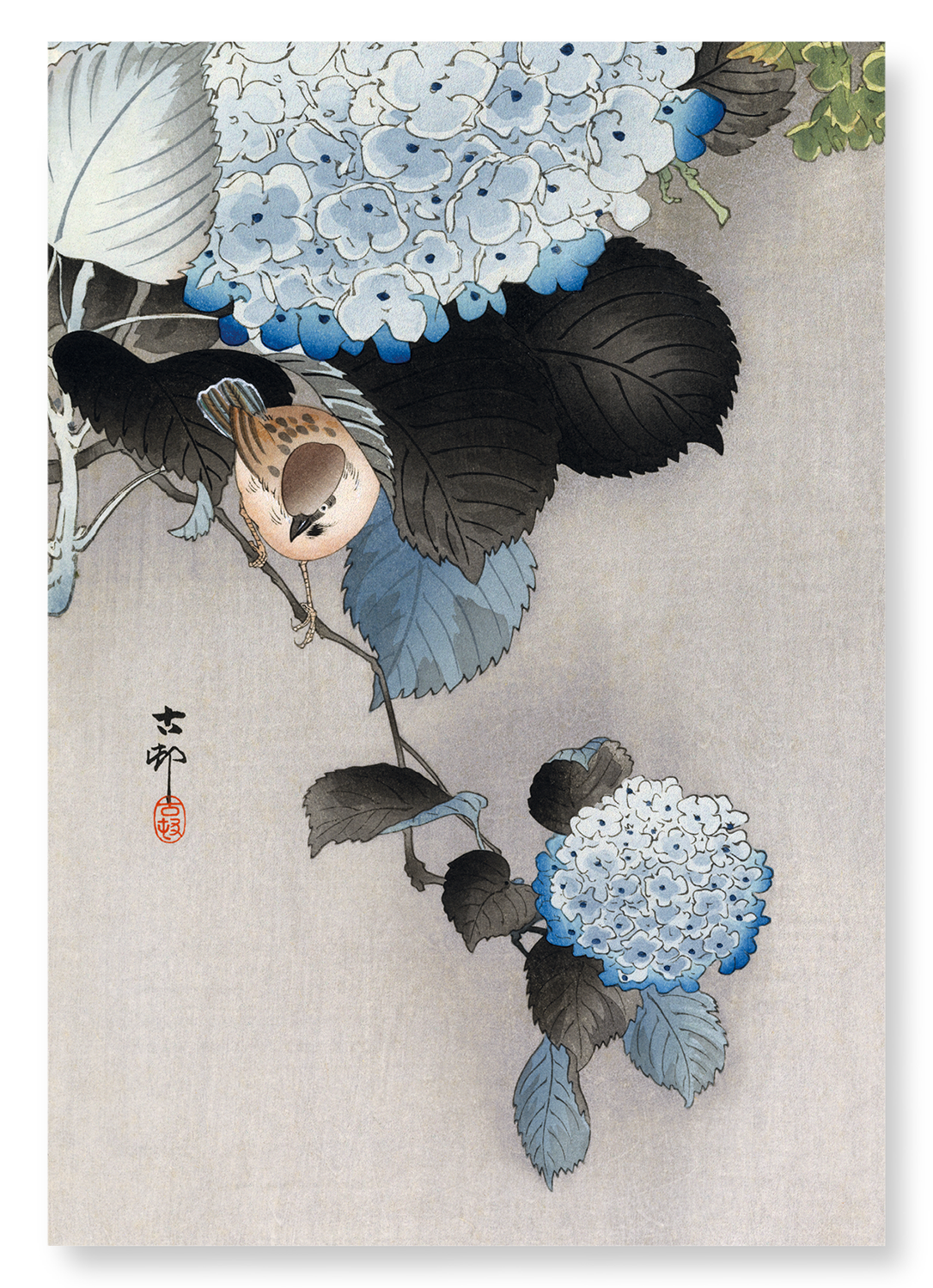 SPARROW AND HORTENSIA: Japanese Art Print