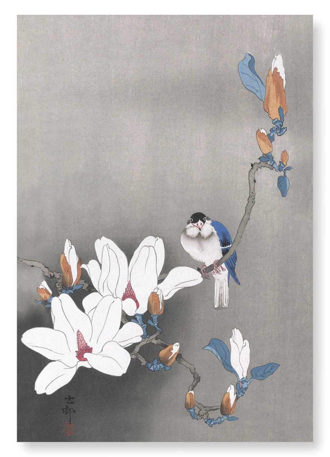 BIRD ON MAGNOLIA: Japanese Art Print