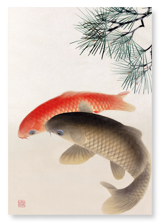 CARPS AND PINE: Japanese Art Print