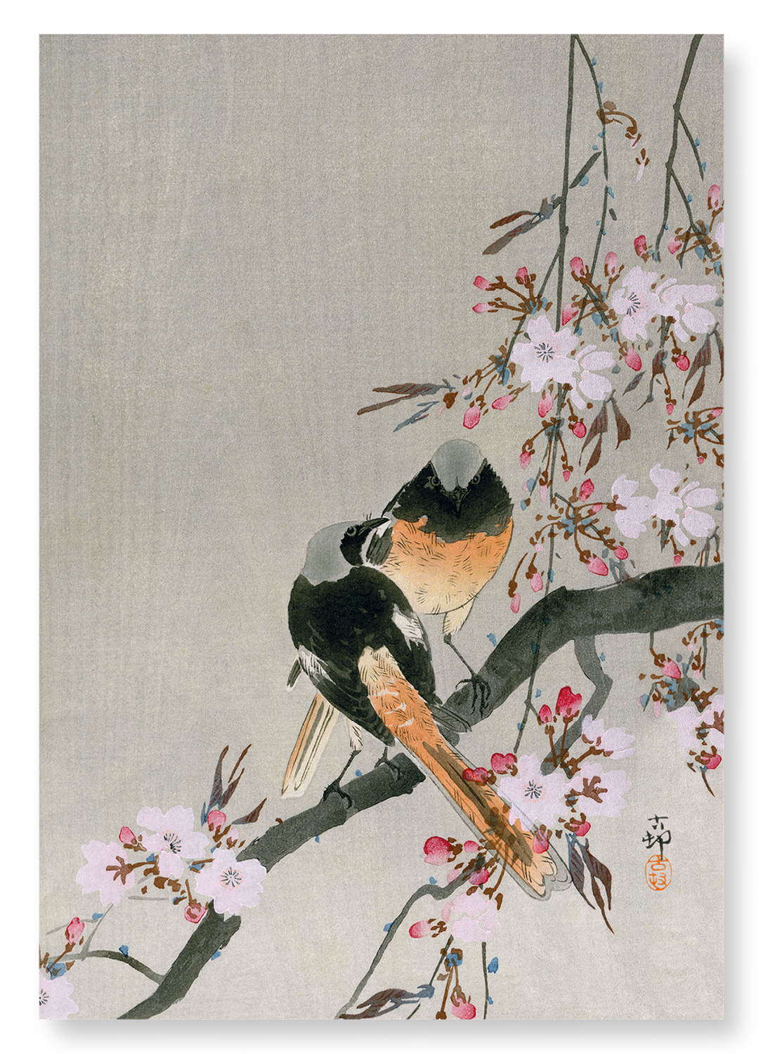 REDSTARTS AND CHERRY: Japanese Art Print