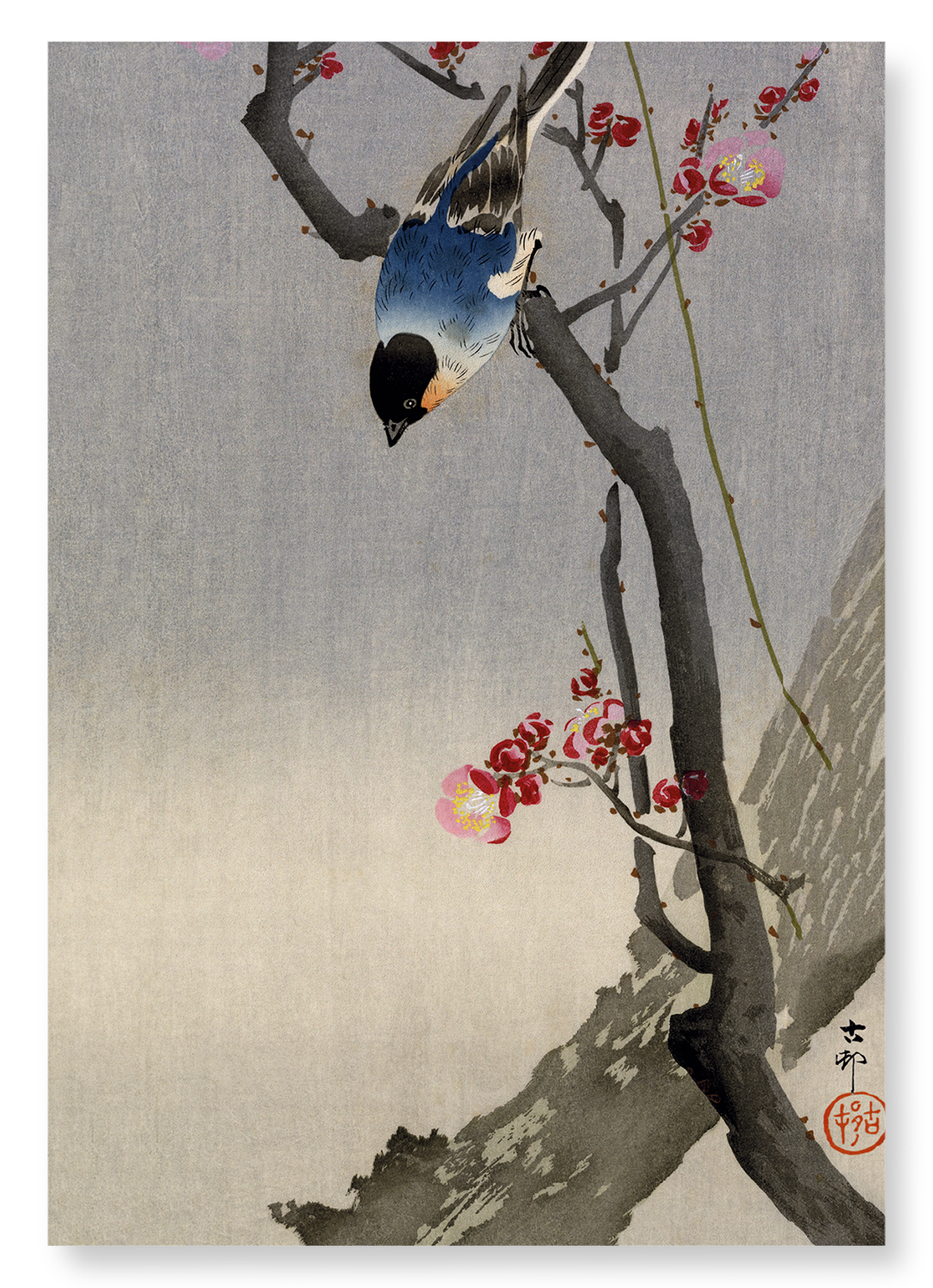BULLFINCH BIRD: Japanese Art Print