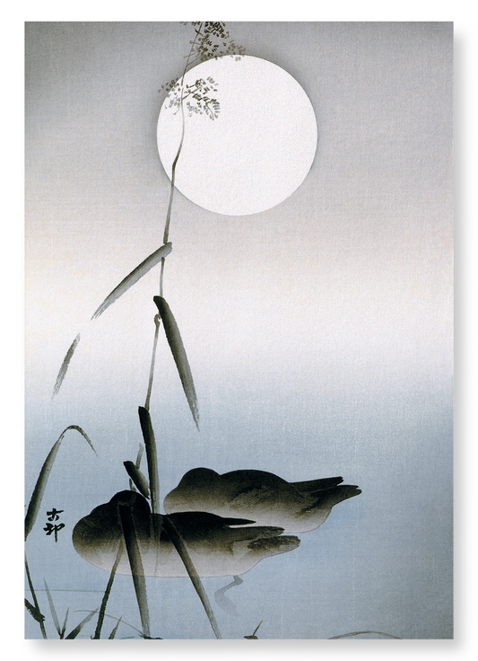 TWO SLEEPING MALLARDS: Japanese Art Print