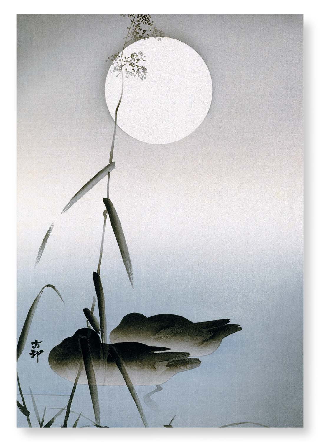 TWO SLEEPING MALLARDS: Japanese Art Print