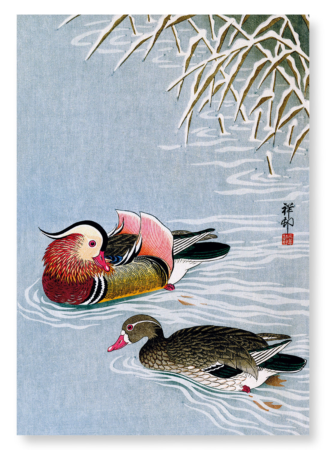 MANDARIN DUCK: Japanese Art Print