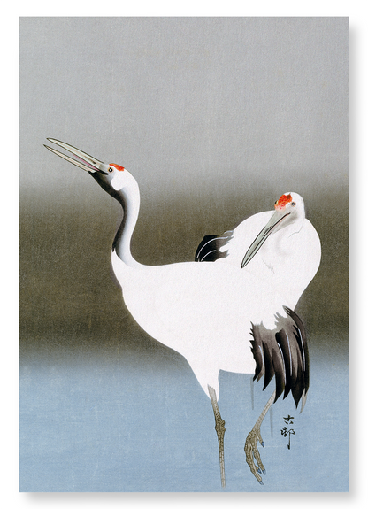 COUPLE OF CRANES: Japanese Art Print