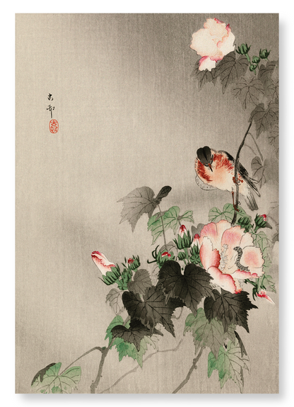 STONECHAT BIRD: Japanese Art Print