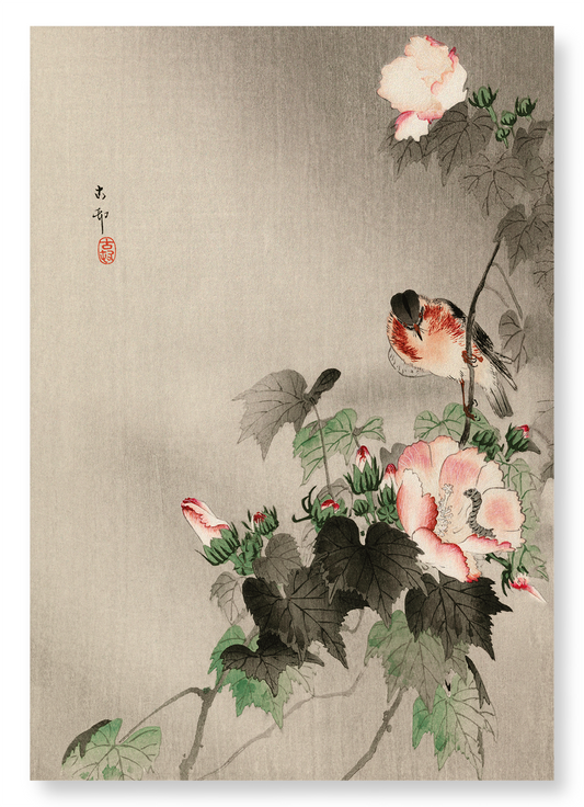 STONECHAT BIRD: Japanese Art Print