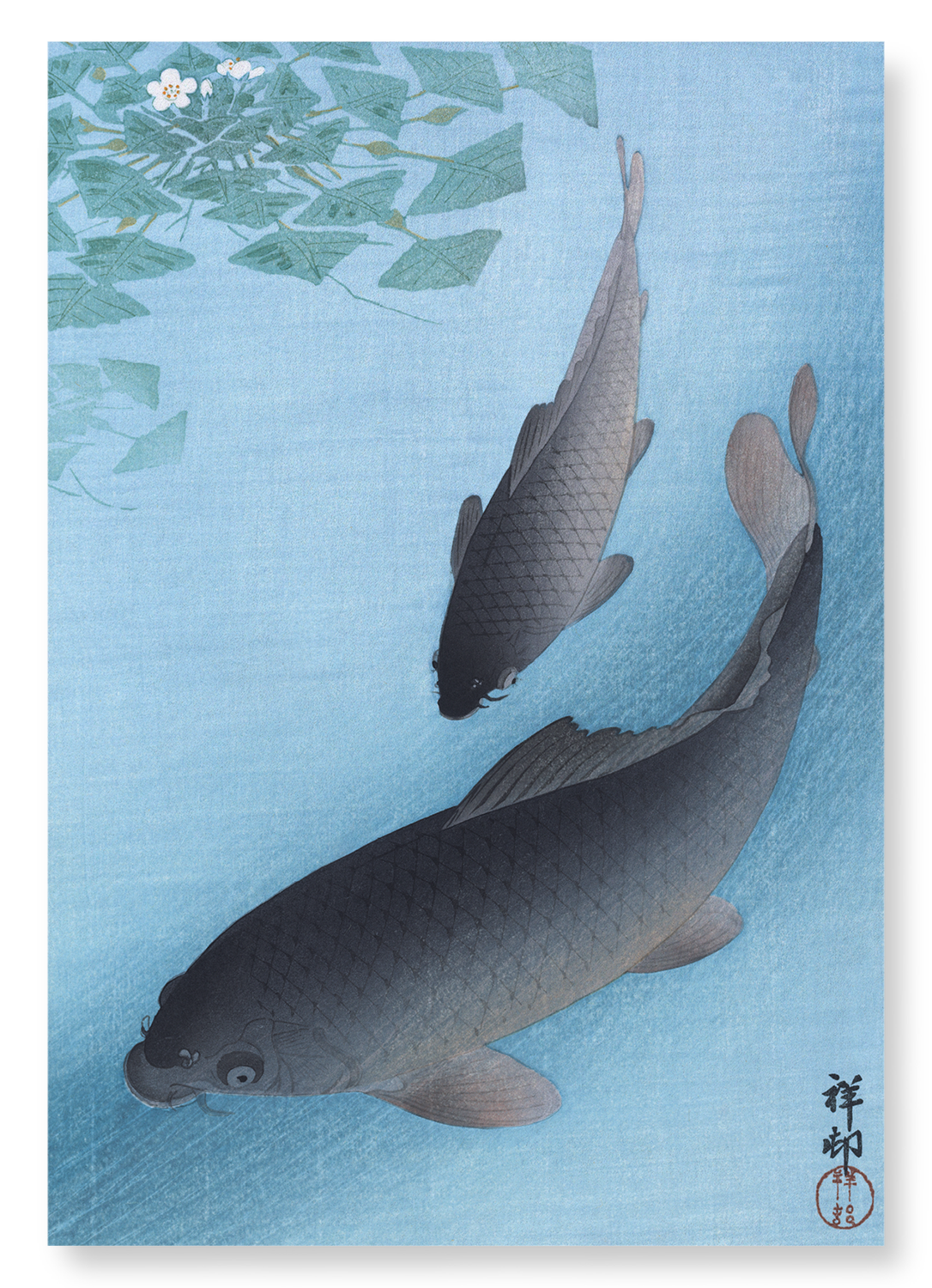 COUPLE OF CARPS: Japanese Art Print